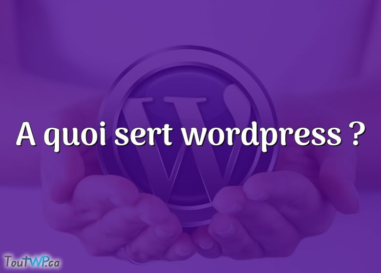 A Quoi Sert Wordpress Toutwpca 8042