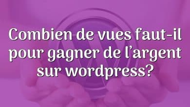 Combien de vues faut-il pour gagner de l’argent sur wordpress?