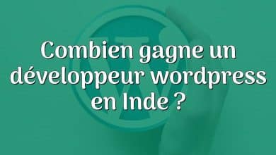 Combien gagne un développeur wordpress en Inde ?