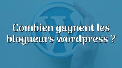 Combien gagnent les blogueurs wordpress ?