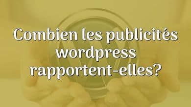 Combien les publicités wordpress rapportent-elles?