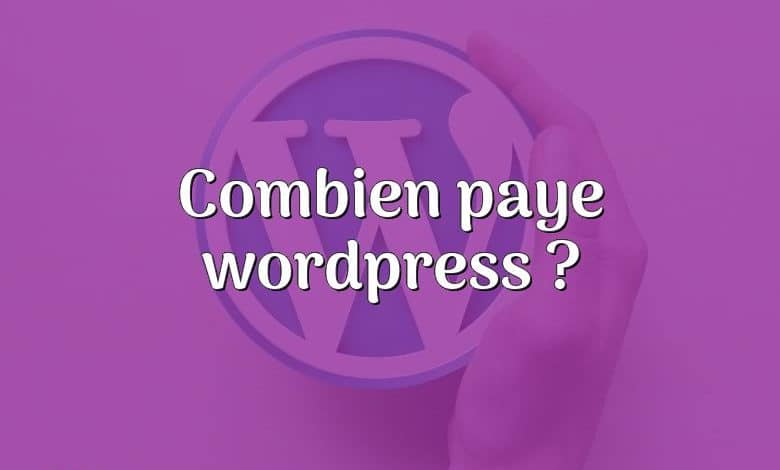 Combien paye wordpress ?