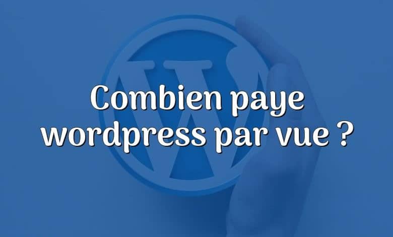 Combien paye wordpress par vue ?