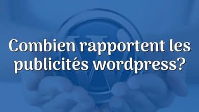 Combien rapportent les publicités wordpress?