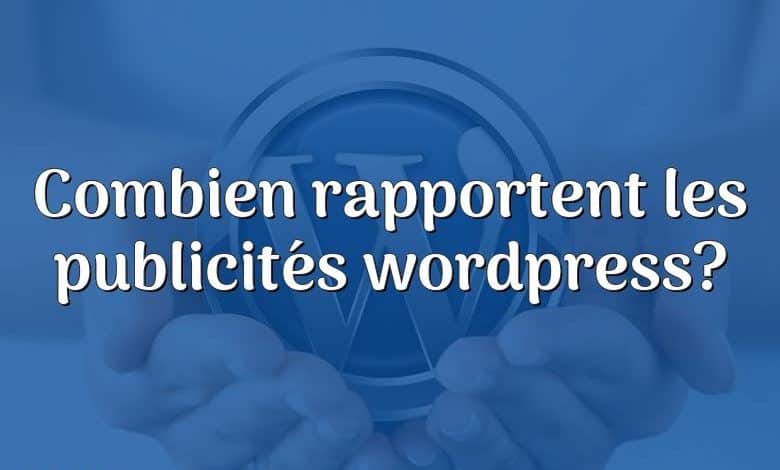 Combien rapportent les publicités wordpress?