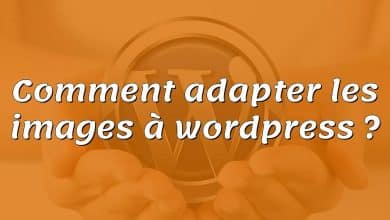 Comment adapter les images à wordpress ?