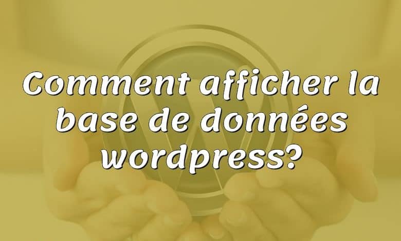 Comment afficher la base de données wordpress?