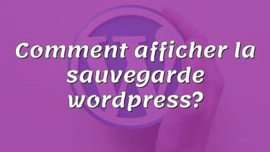 Comment afficher la sauvegarde wordpress?