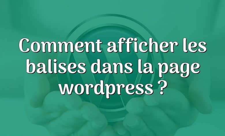 Comment afficher les balises dans la page wordpress ?