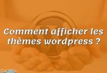 Comment afficher les thèmes wordpress ?