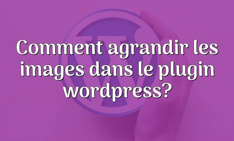 Comment agrandir les images dans le plugin wordpress?