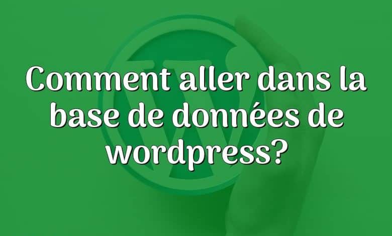 Comment aller dans la base de données de wordpress?