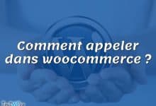 Comment appeler dans woocommerce ?