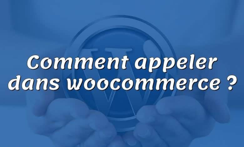 Comment appeler dans woocommerce ?