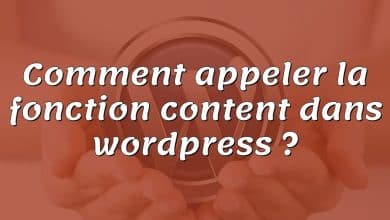 Comment appeler la fonction content dans wordpress ?