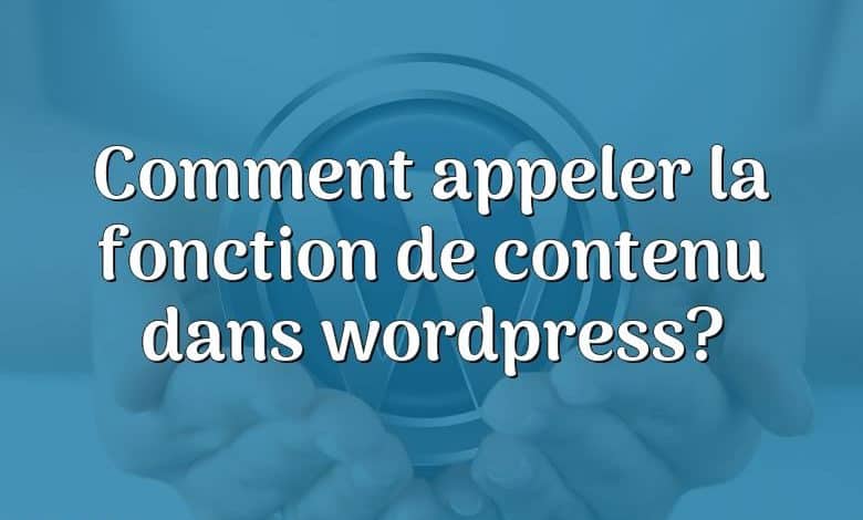 Comment appeler la fonction de contenu dans wordpress?