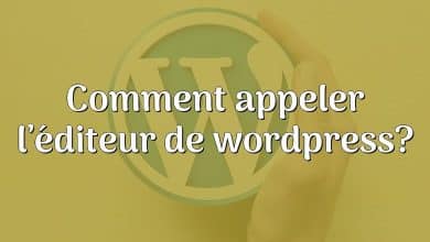 Comment appeler l’éditeur de wordpress?