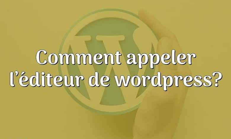 Comment appeler l’éditeur de wordpress?