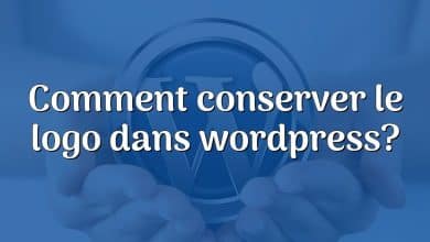 Comment conserver le logo dans wordpress?