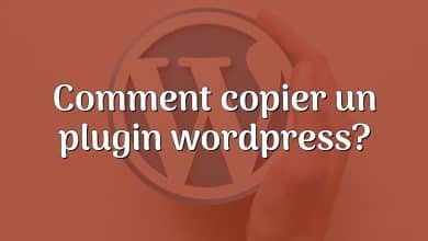 Comment copier un plugin wordpress?