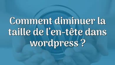 Comment diminuer la taille de l’en-tête dans wordpress ?