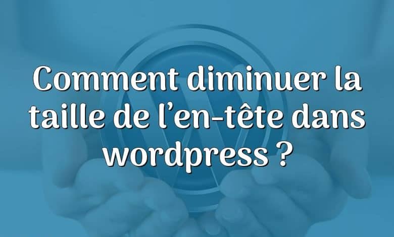 Comment diminuer la taille de l’en-tête dans wordpress ?