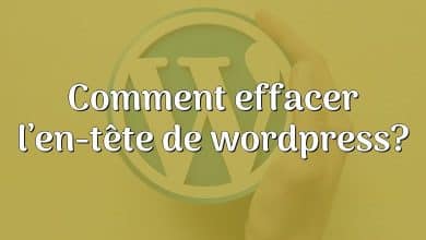 Comment effacer l’en-tête de wordpress?