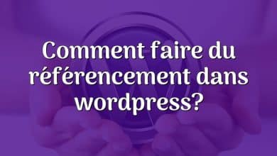 Comment faire du référencement dans wordpress?