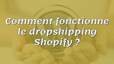 Comment fonctionne le dropshipping Shopify ?