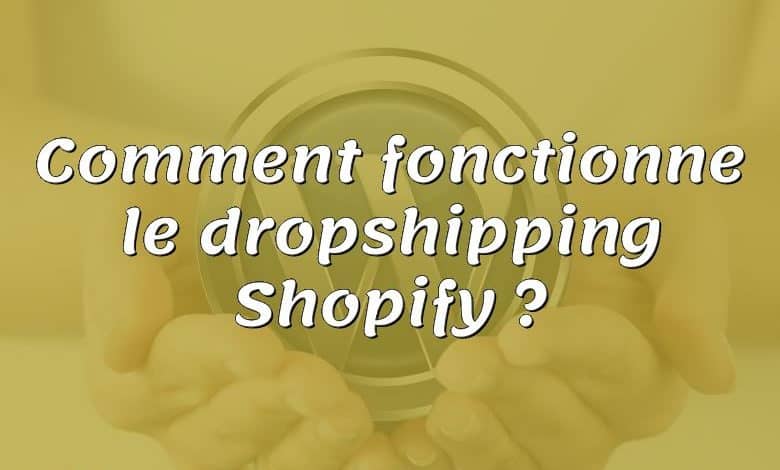 Comment fonctionne le dropshipping Shopify ?