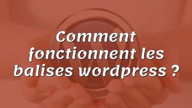 Comment fonctionnent les balises wordpress ?