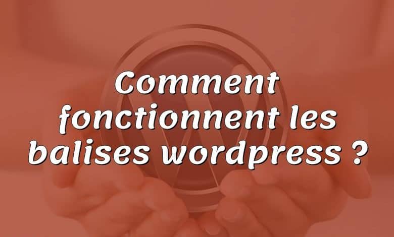 Comment fonctionnent les balises wordpress ?