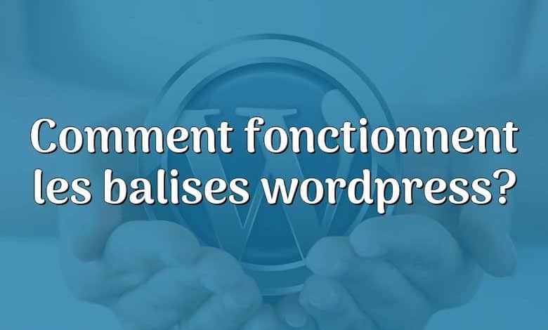 Comment fonctionnent les balises wordpress?