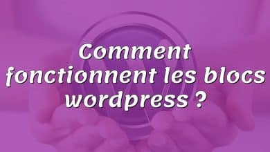 Comment fonctionnent les blocs wordpress ?