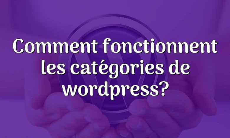 Comment fonctionnent les catégories de wordpress?