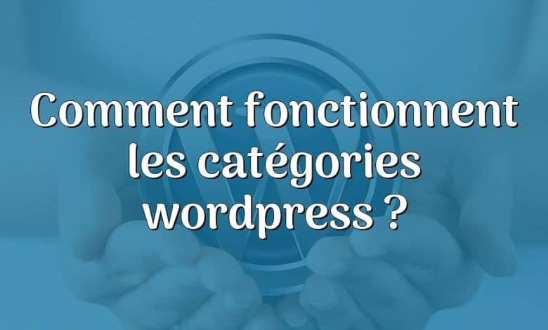 Comment fonctionnent les catégories wordpress ?