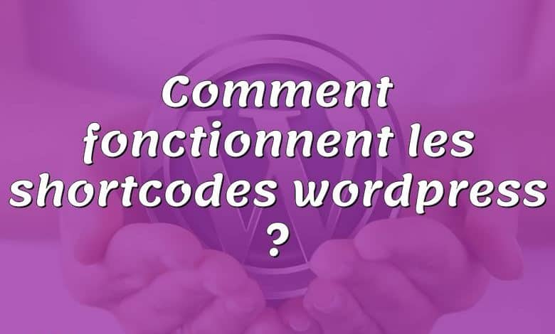 Comment fonctionnent les shortcodes wordpress ?