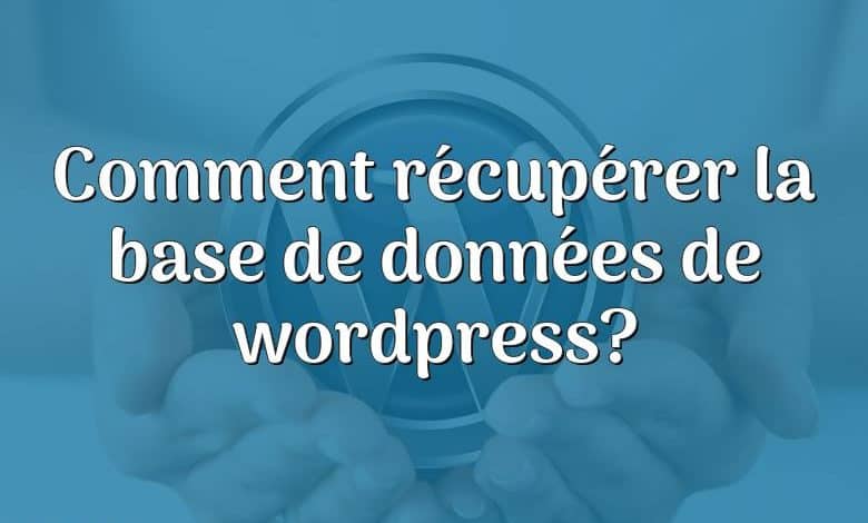 Comment récupérer la base de données de wordpress?