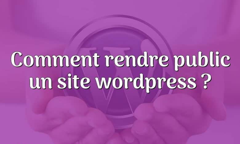 Comment rendre public un site wordpress ?