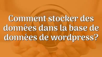 Comment stocker des données dans la base de données de wordpress?