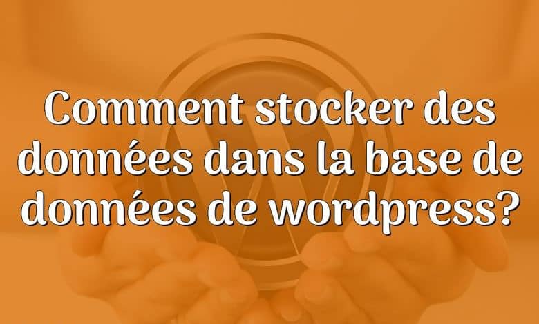 Comment stocker des données dans la base de données de wordpress?