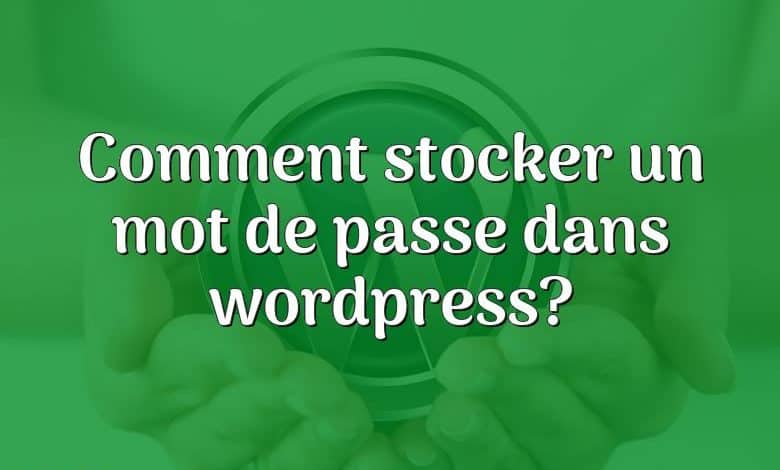 Comment stocker un mot de passe dans wordpress?