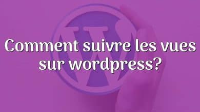 Comment suivre les vues sur wordpress?