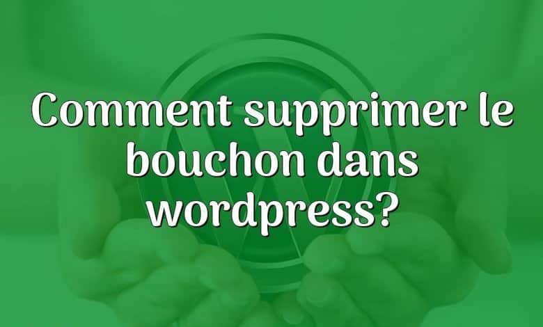 Comment supprimer le bouchon dans wordpress?