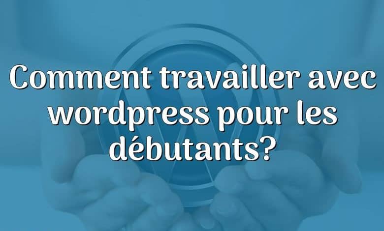 Comment travailler avec wordpress pour les débutants?