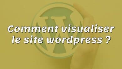 Comment visualiser le site wordpress ?