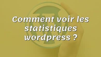 Comment voir les statistiques wordpress ?