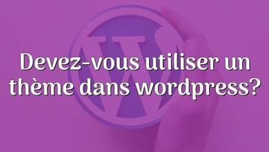 Devez-vous utiliser un thème dans wordpress?