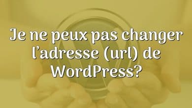 Je ne peux pas changer l’adresse (url) de WordPress?