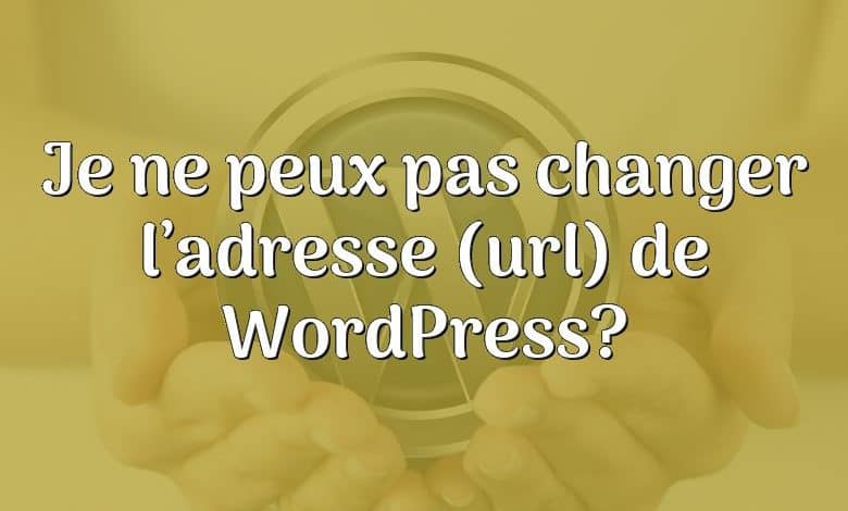 Je ne peux pas changer l’adresse (url) de WordPress?